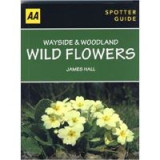 Wayside &amp; Woodland Wild Flowers