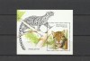 BENIN 1996 FAUNA ANIMALE SALBATICE FELINE, Nestampilat