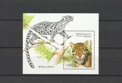 BENIN 1996 FAUNA ANIMALE SALBATICE FELINE foto