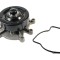 Pompa apa JEEP GRAND CHEROKEE II (WJ, WG) (1998 - 2005) THERMOTEC D1Y016TT
