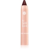 Yves Rocher Le Brillant ruj hidratant in creion culoare 10 Prune Tendre 2.2 g