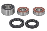 Kit rulment roata spate (cu etansanti) pentru HONDA CBR 600 2001-2006