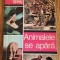 Animalele se apără - Tudor Opriș