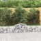 vidaXL Coșuri gabion arcuite 11 buc, 200x30x40/60 cm, fier galvanizat 3146056