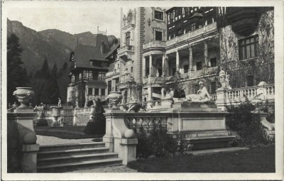 CP801N Castelul Peleș, carte poștală foto
