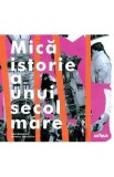 Mica istorie a unui secol mare - Monica Onojescu