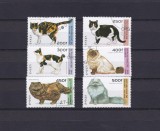 Guineea 1996 &ndash; Seria completă &bdquo;Pisici de rasă&rdquo; (6 timbre) &ndash; Faună domestică, ștampilată