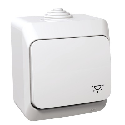 Intrerupator revenire simbol lumina PT IP44 Schneider Cedar alb WDE000513 foto