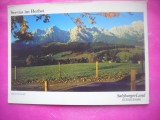 HOPCT 19500 HERBS -SALZBURGER LAND-AUSTRIA -CIRCULATA