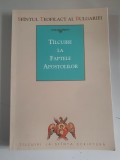 Tilcuire la Faptele Apostolilor - Teofilact al Bulgariei