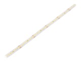 Bandă LED Alb Neutru 24V 10mm IP20