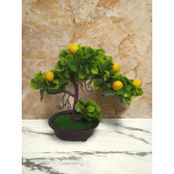 Copacel decorativ fructifer cu lamai