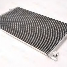 Condensator / Radiator aer conditionat RENAULT LAGUNA I (B56, 556) (1993 - 2001) THERMOTEC KTT110007