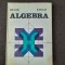ALGEBRA - ION D. ION CARTONATA RF24/1