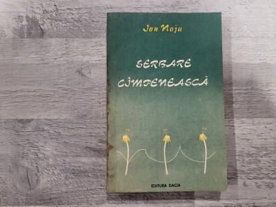 Serbare campeneasca de Ion Noja foto