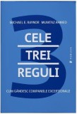 Cele trei reguli | Michael E. Raynor, Mumtaz Ahmed​