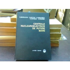 Centrale nuclearoelectrice de putere mare - C. Burducea
