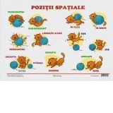 Plansa. Pozitii spatiale