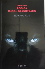300 de pisici negre Rodica Ojog-Brasoveanu foto