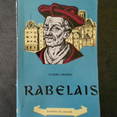 OVIDIU DRIMBA - RABELAIS