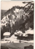 CPIB 22500 - CARTE POSTALA - MUNTII BUCEGI. SCHITUL IALOMITEI, RPR, NECIRCULATA