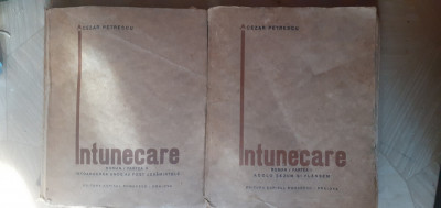 INTUNECARE VOL.1+2-CEZAR PETRESCU- PRIMA EDITIE-1928 n2. foto