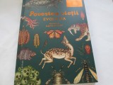 POVESTEA VIETII - KATIE SCOTT