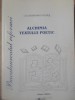 Alchimia Textului Poetic - Lacramioara Vulpes - Versus 2003 - Bacalaureat Reforma - Romanesti - Beletristica