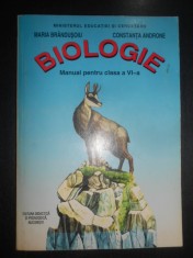 Maria Brandusoiu - Biologie. Manual pentru clasa a VI-a (2001) foto