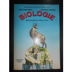 Maria Brandusoiu - Biologie. Manual pentru clasa a VI-a (2009)