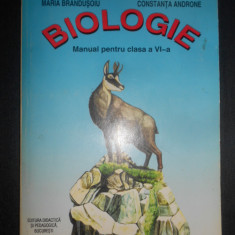 Maria Brandusoiu - Biologie. Manual pentru clasa a VI-a (2009)
