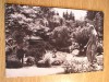QW24 C - Carte postala - tematica turism - vedere - Cluj Napoca 45, Circulata, Fotografie