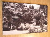QW24 C - Carte postala - tematica turism - vedere - Cluj Napoca 45, Circulata, Fotografie
