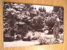 QW24 C - Carte postala - tematica turism - vedere - Cluj Napoca 45