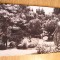 QW24 C - Carte postala - tematica turism - vedere - Cluj Napoca 45