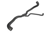 Furtun radiator RENAULT CLIO III (BR0/1, CR0/1) (2005 - 2012) THERMOTEC DWR062TT