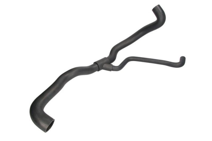 Furtun radiator RENAULT CLIO III (BR0/1, CR0/1) (2005 - 2012) THERMOTEC DWR062TT