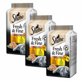 Cumpara ieftin Sheba Fresh &amp;amp; Fine capsule pentru pisici, pui și curcan 3 x (6 x 50 g)