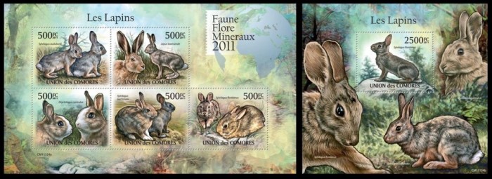 COMORE 2011- Iepuri / set complet MNH ( bloc+colita)
