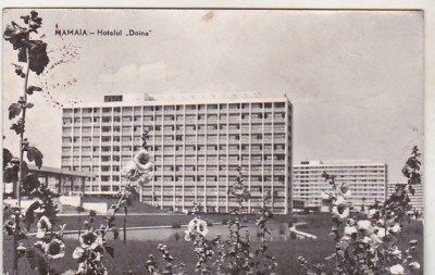 bnk cp Mamaia - Hotel Doina - circulata foto