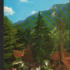 CPI B14001 CARTE POSTALA - COMUNA AVRAM IANCU. CASA MEMORIALA AVRAM IANCU