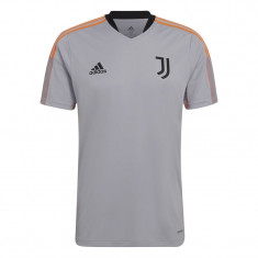 Juventus Torino tricou de fotbal tiro grey - L foto