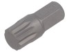 Bit Surubelniță Spline XZN M12 Beta, Capat Dodecagon, Scule de M&acirc;nă