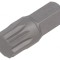 Capăt Șurubelniță Spline XZN M12