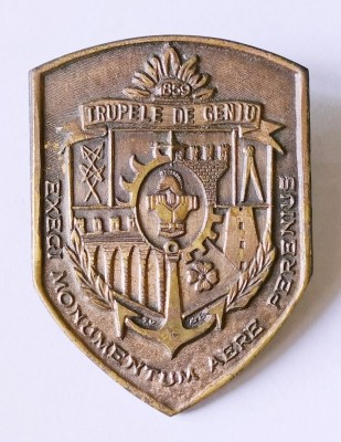 INSIGNA TRUPELE DE GENIU ARMATA EXCEGI MONUMENTUM AERE PERENUS 50/38 MM MINISTERUL APARARII GENIST ( CITITI DESCRIEREA ) foto