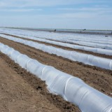 Cumpara ieftin Folie tunel termic 15 microni 1x 2500 m