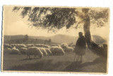 AD 1051 C. P. VECHE - IDILA PE MUNTII -IDYLL IN DEN BERGEN -E.FISCHER, SIBIU1937