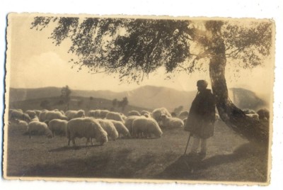 AD 1051 C. P. VECHE - IDILA PE MUNTII -IDYLL IN DEN BERGEN -E.FISCHER, SIBIU1937 foto