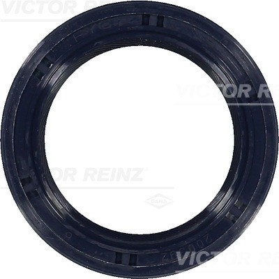 VICTOR REINZ 81-53441-00 Simering, ax cu came