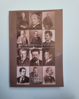Banat- Roxana Nubert, Literatura moderna pana la 1900, Timisoara, 2008 foto